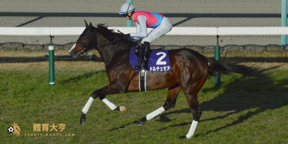 【賽馬】朝日盃未來錦標(G1):熱門賽駒與推薦博彩網站完整攻略