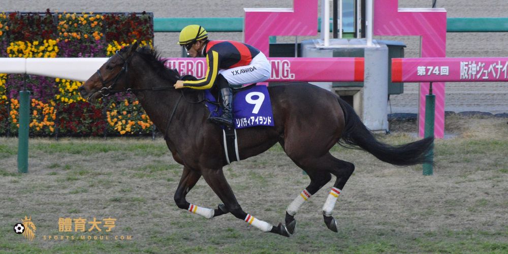 【賽馬】阪神兩歲牝馬錦標(G1)值得關注的賽駒與推薦博彩平台總整理