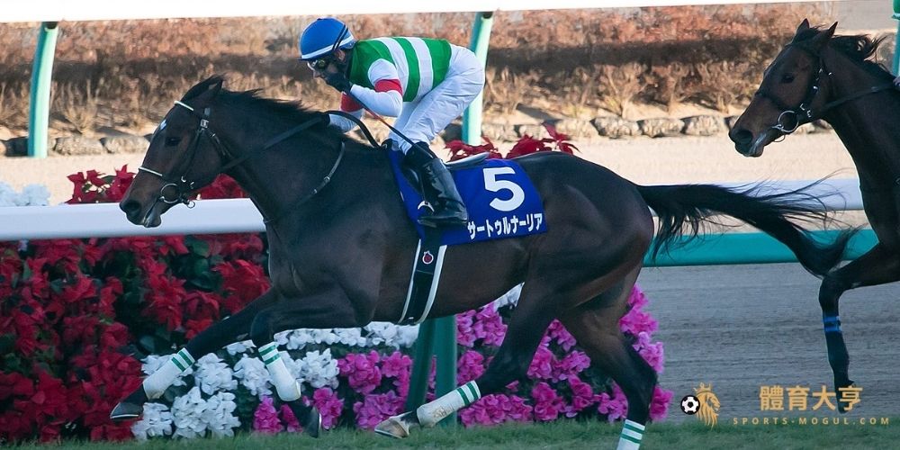 【賽馬】希望錦標(G1)矚目戰駒與推薦博彩網站全攻略