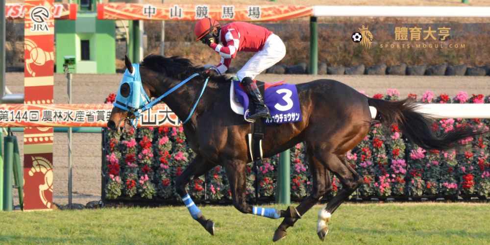 【賽馬】中山大障害矚目賽駒與推薦博彩網站完整攻略