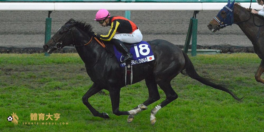 【賽馬】伊麗莎白女王盃(G1)焦點馬匹與推薦博彩公司總整理
